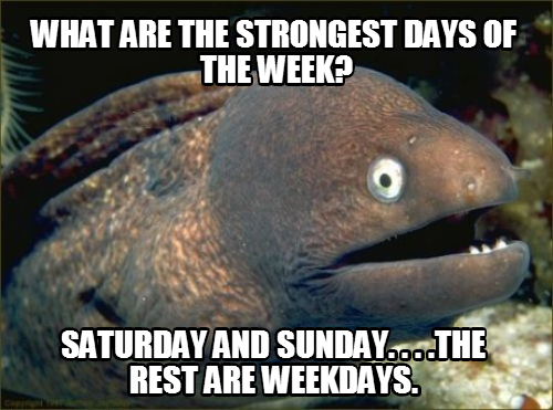 Bad joke eel takes another crack.