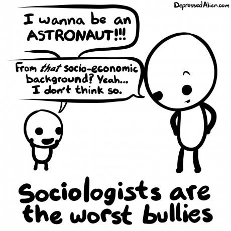 Sociologist ***
