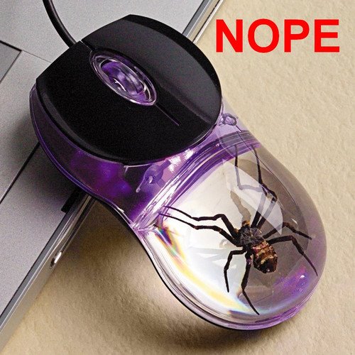 I got a friend who if phobic of spiders, his birthday it's close