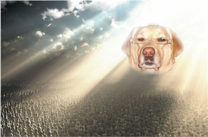 Lord and saviour of the funny lately