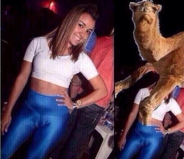 Dat camel toe