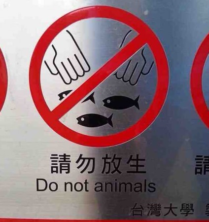 never animals