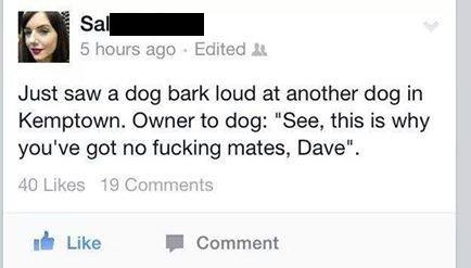Get your shit together, Dave.