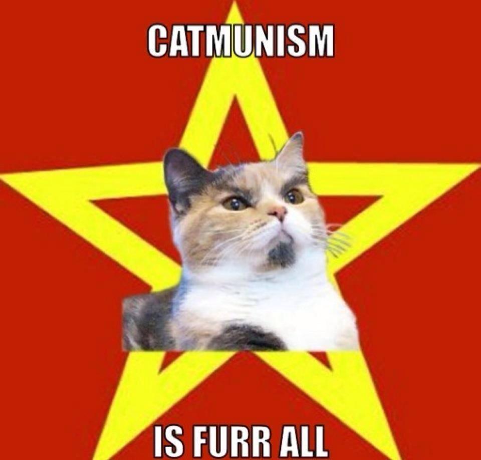 Catmunism is for pussys