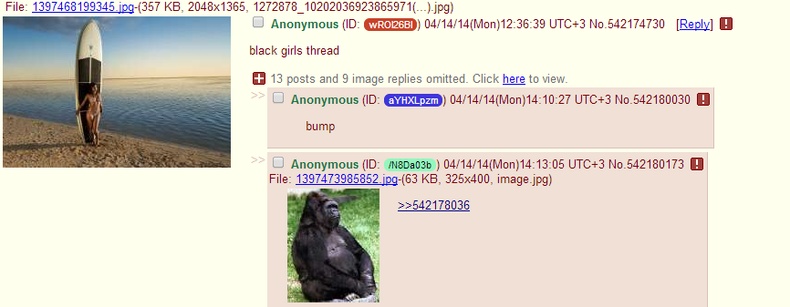 i am racist and i find this black