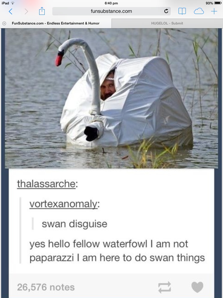 IMPOSTER!!!!!