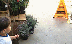 Thinking with portals