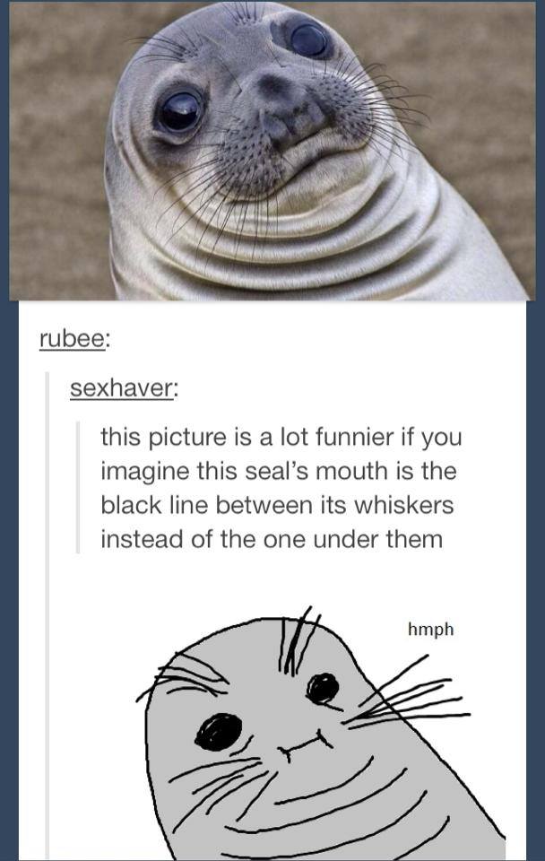 Seals, the potatoes of the ocean