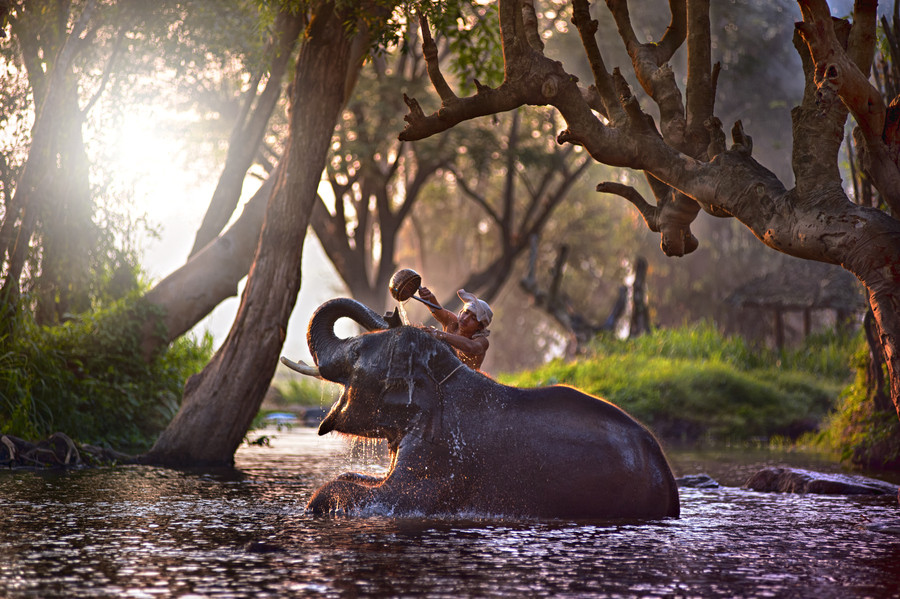 Taking a bath