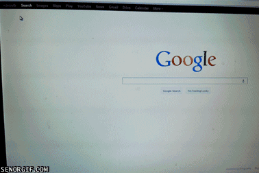Who uses Google to Google Google?