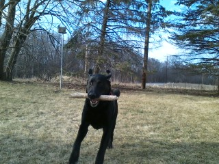 Look at my stick!