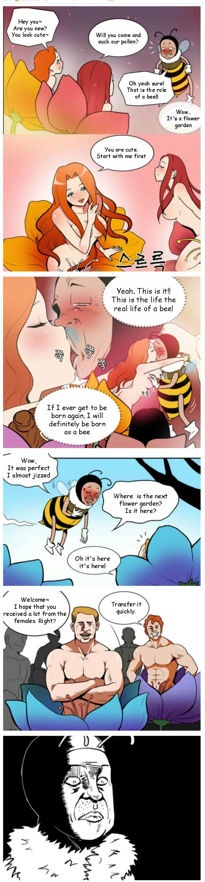 The life of a bee