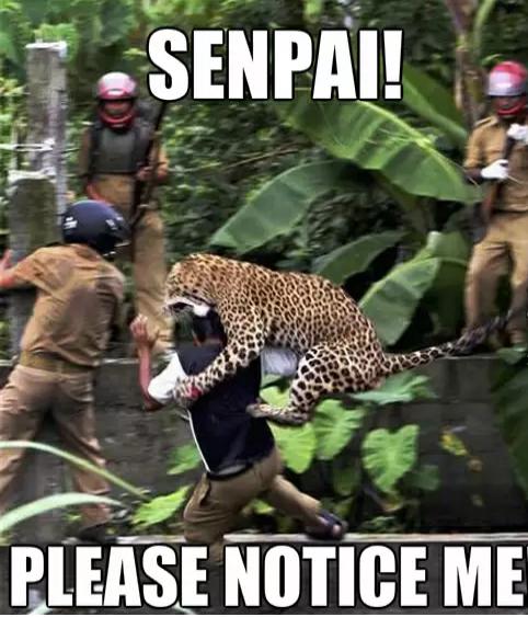 It's Not like i want to bite you or anything....b-b-baka!