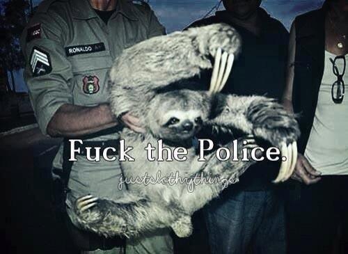 If a sloth says it, must be legit then.