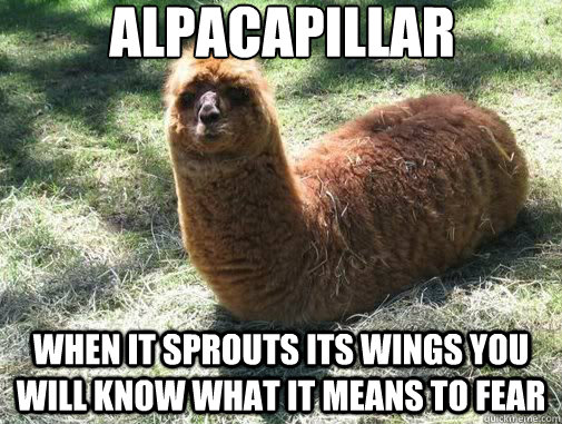 Alpacapillar