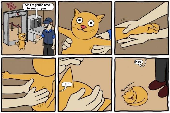 I'm gonna search you