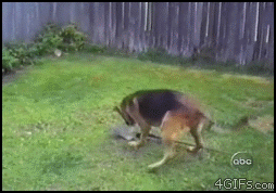 2 ***es. (added wasted gif at the end because of requests)