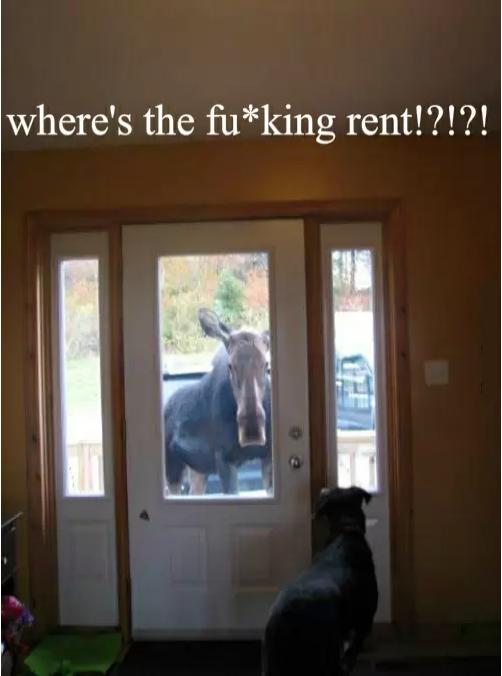 "*** off i'm a dog!"