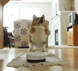 When a waiter gives you an unexpected refill