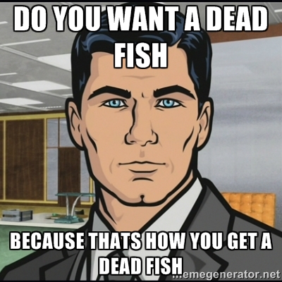 When I see that a friend has a cat and a fish as pets.