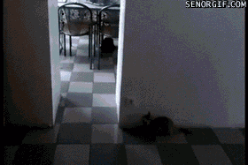 Sneak attack fail.