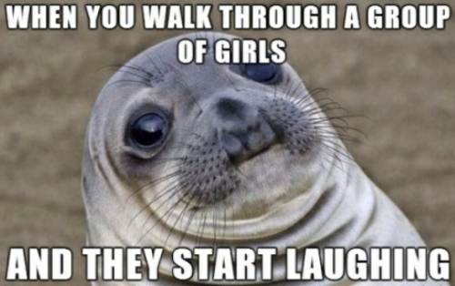 Awkward Moment Seal (Admin kindly add this to your meme list)
