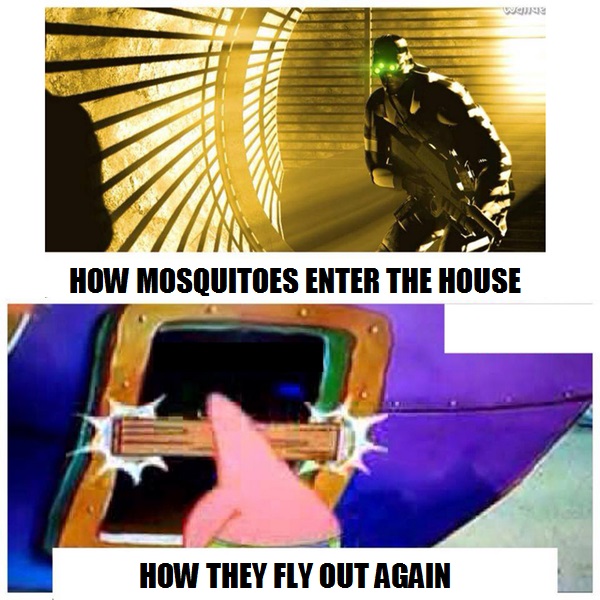 scumbag mosquito