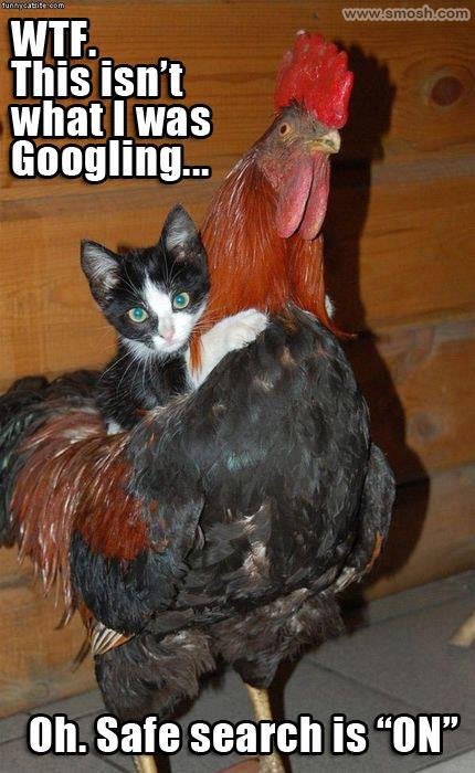 *NSFW* pussy riding massive ***