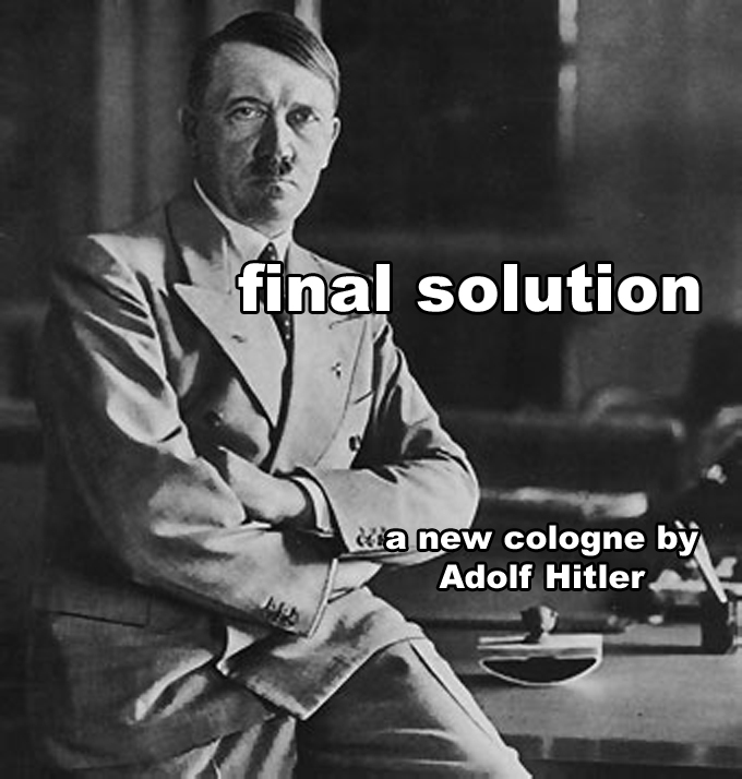 an analysis of adolf hitler as a german political and government leader an analysis of adolf hitler as a german political and government leader