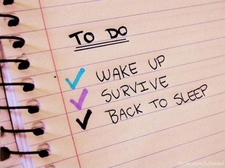 My Daily To-Do List