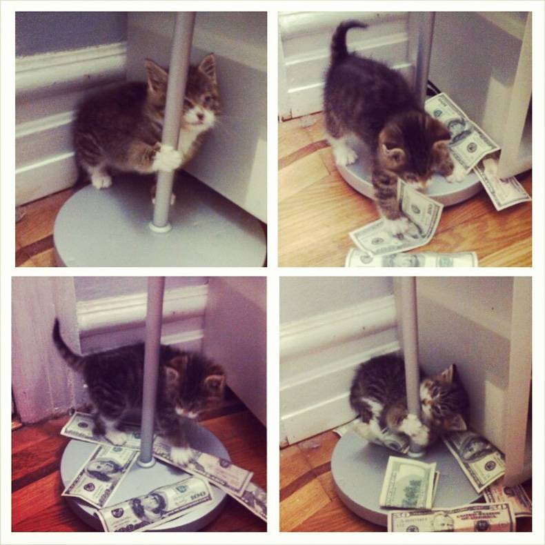 Nice pussy makes it rain