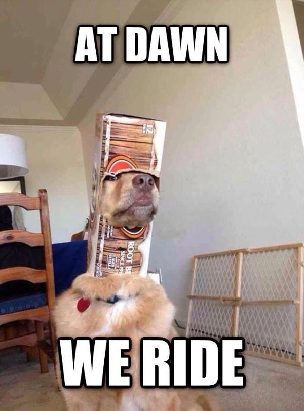 TO ARMS!!!