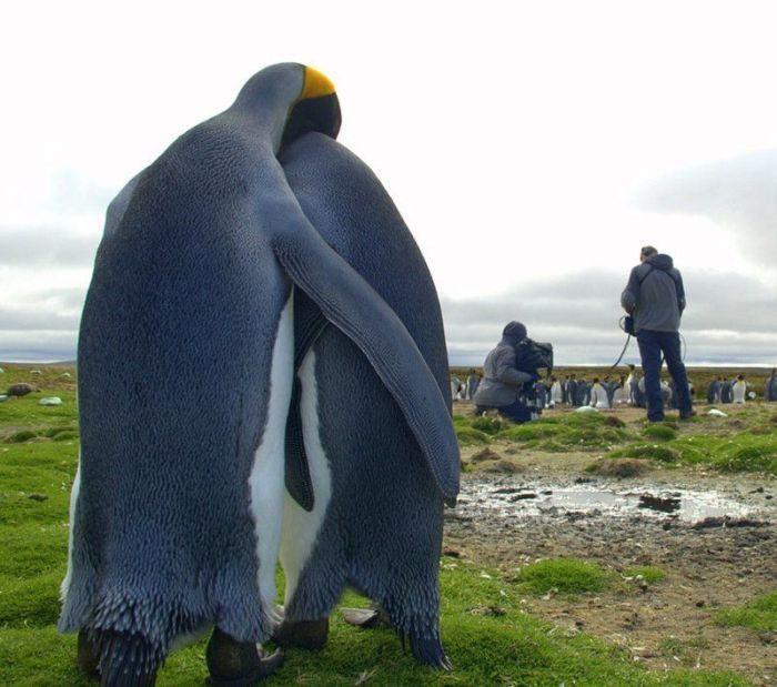"It's okay, hon. You'll do better at the next National Geographic audition."