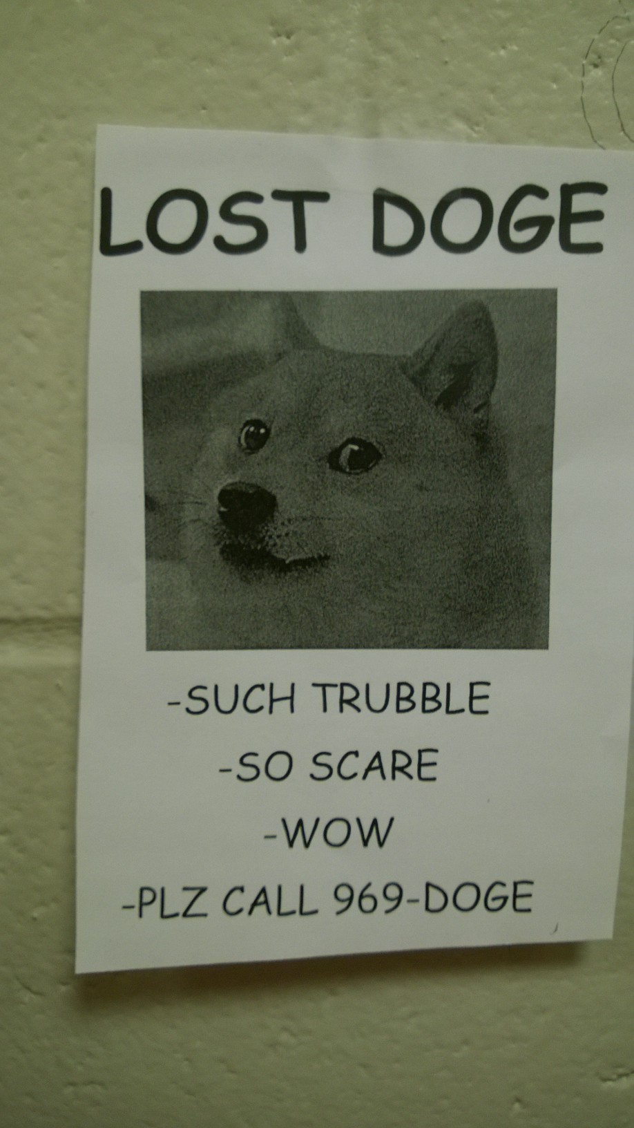 Such Fright, Must Find