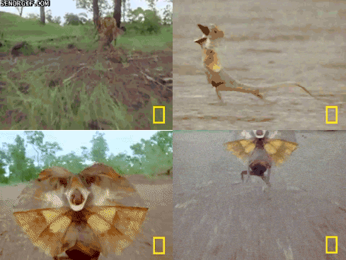 MRW I hear the *DING* of the microwave