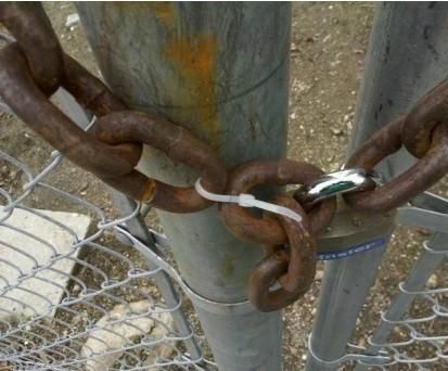 You would have better luck picking the lock.