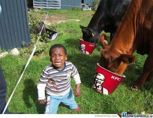 They ate mah chicken