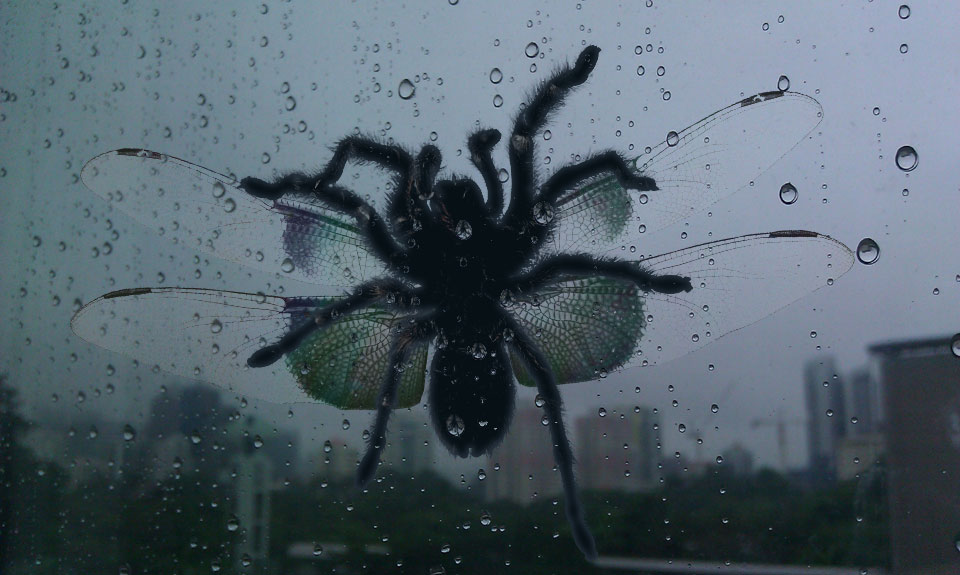 NOPE NOPE NOPE NOPE