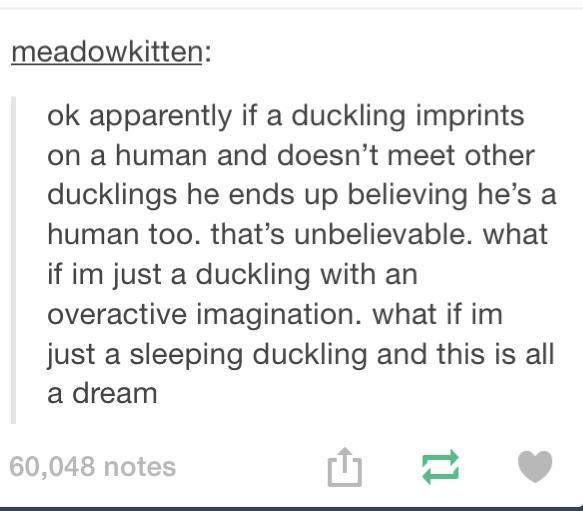 what if i'm a duckling