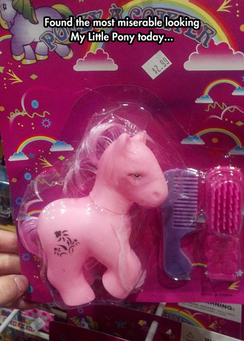 someone told this pony about bronies.