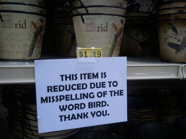 Brid is the wrod