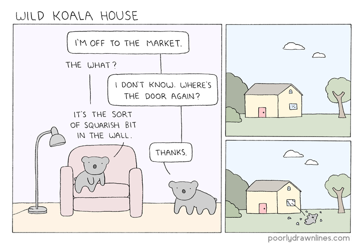 Wild Koala House
