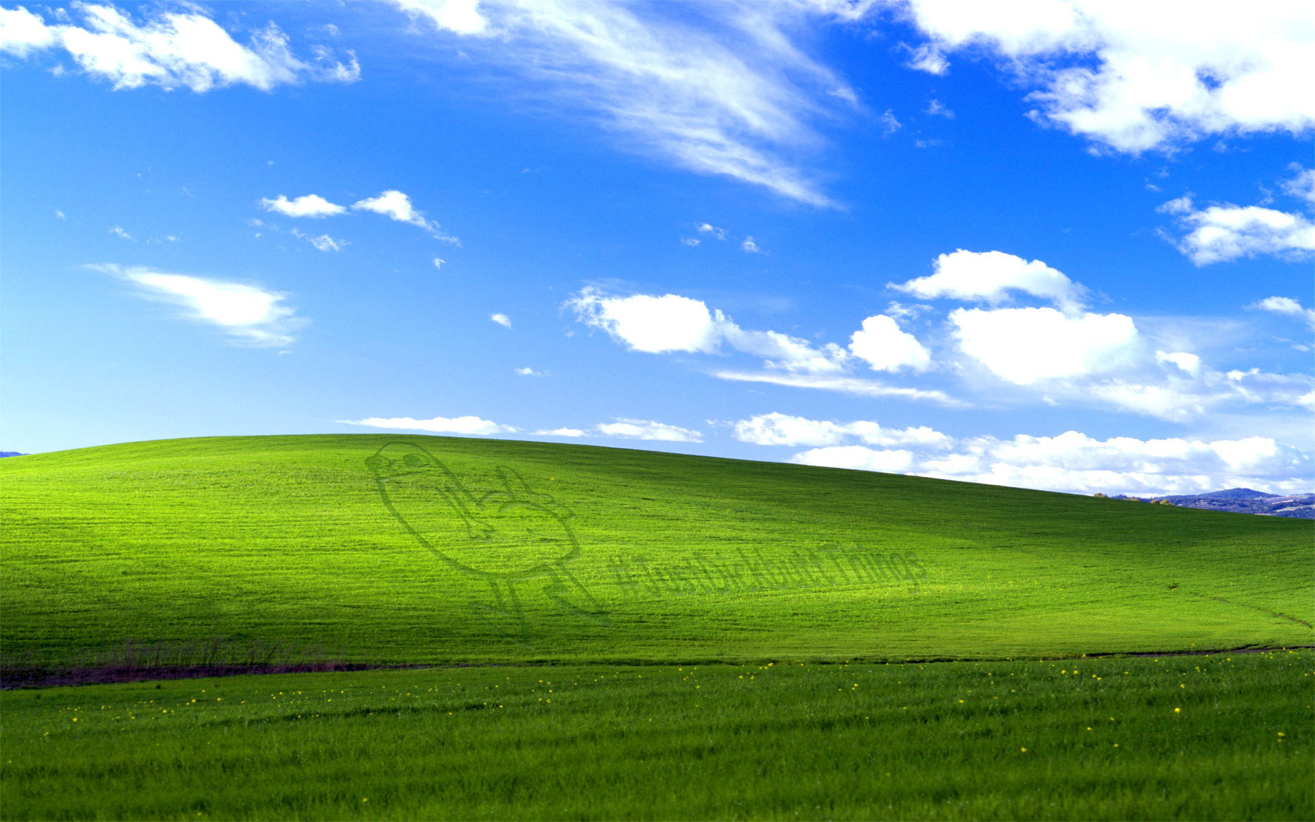 windows DickBut