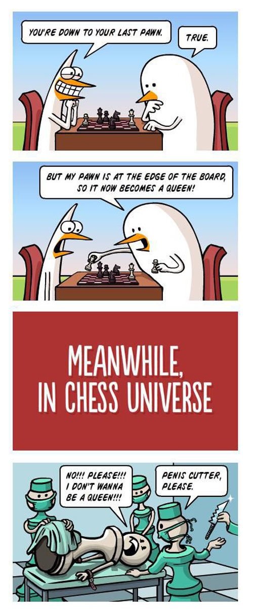 Meanwhile in Chessland