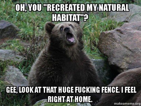 Sarcastic bear is sarcastic