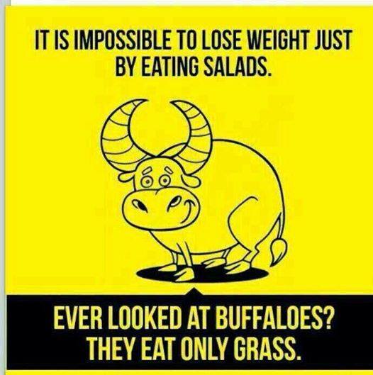 Eating a buffalo also a vegetarian cause they ate grass