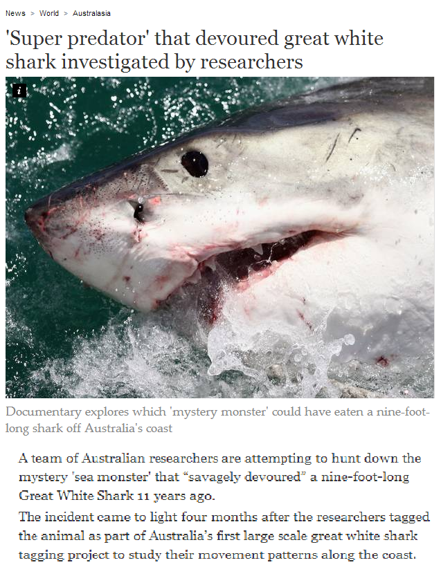 In Australia, shark eats you. Or not.