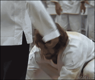 Bruce lee's flip kick