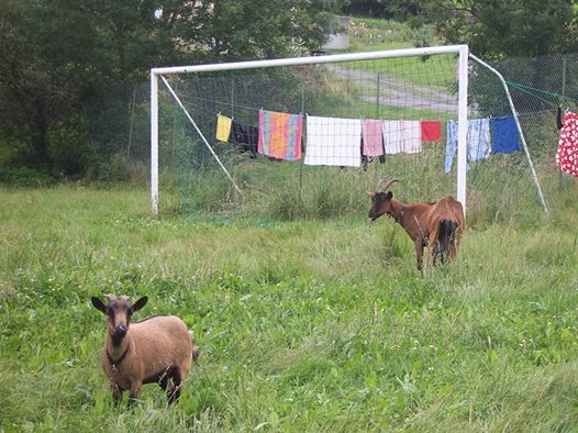Spain defence right now!