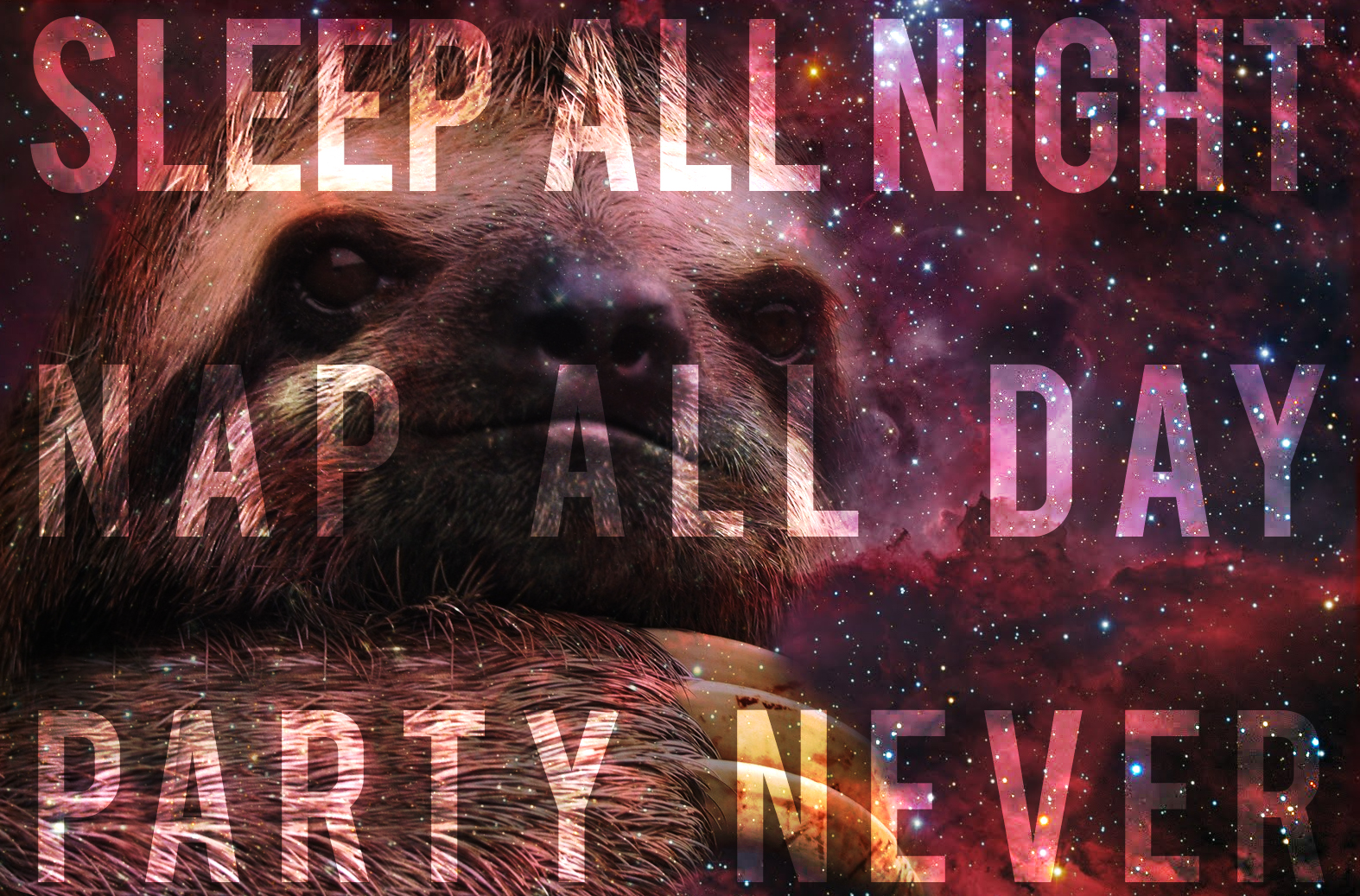 sloths are still relevant